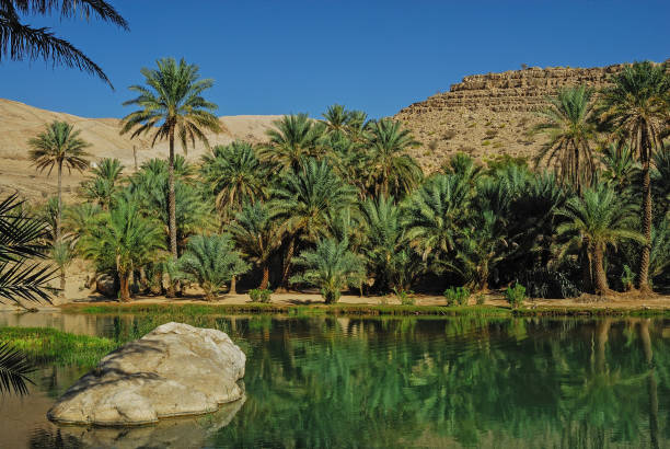 Wadi Bani Khalid