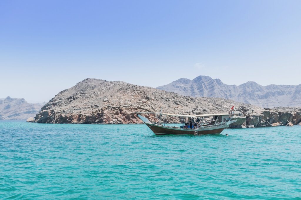 dauphins à Oman